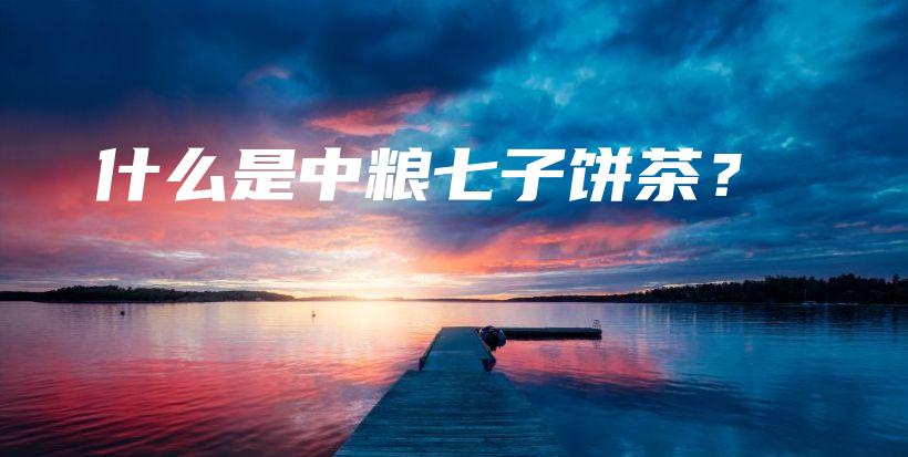 什么是中粮七子饼茶？插图