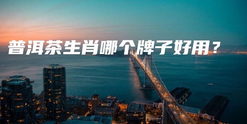 普洱茶生肖哪个牌子好用?插图 普洱茶生肖哪个牌子好用?插图