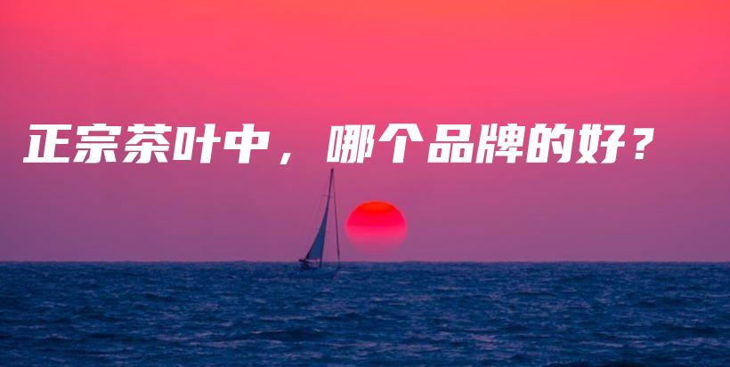 正宗茶叶中，哪个品牌的好？插图