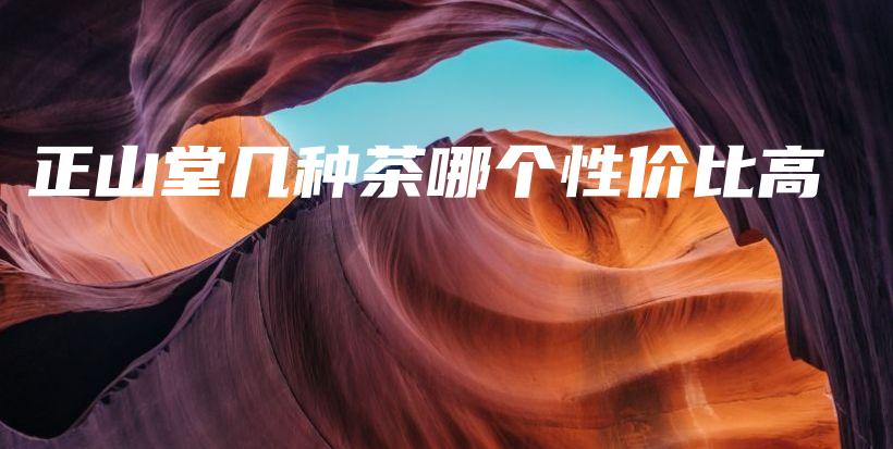 正山堂几种茶哪个性价比高插图