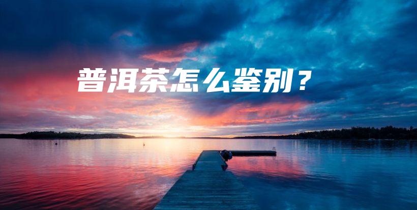 普洱茶怎么鉴别？插图