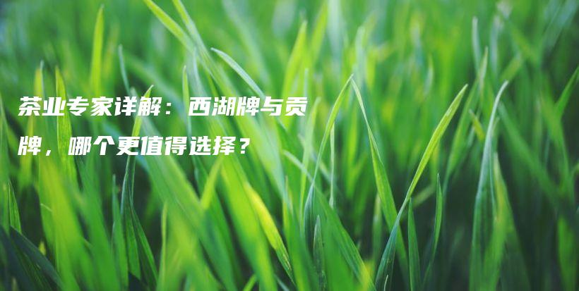 茶业专家详解：西湖牌与贡牌，哪个更值得选择？插图