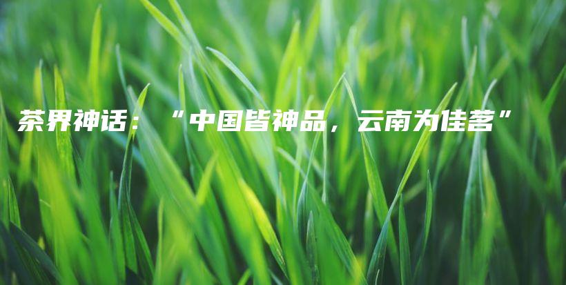 茶界神话：“中国皆神品，云南为佳茗”插图