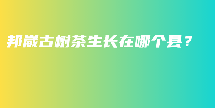 邦崴古树茶生长在哪个县？插图