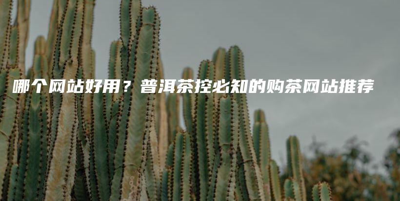 哪个网站好用？普洱茶控必知的购茶网站推荐插图