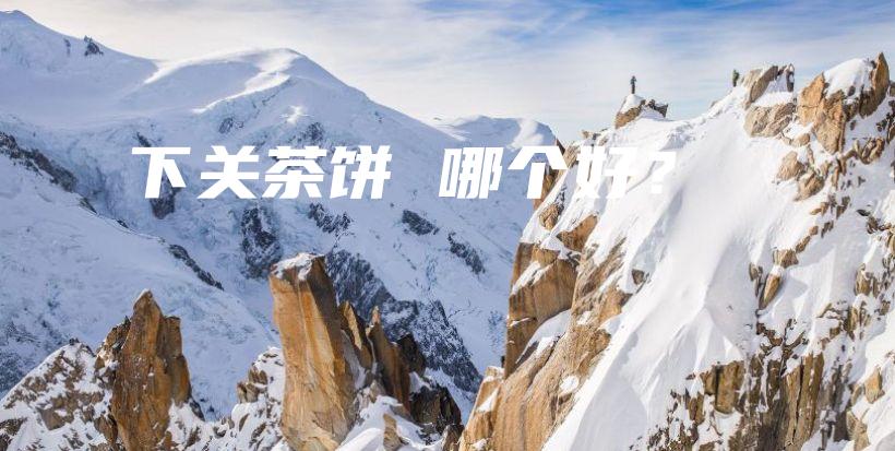 下关茶饼 哪个好？插图