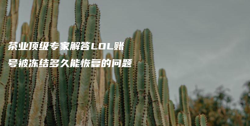 茶业顶级专家解答LOL账号被冻结多久能恢复的问题插图