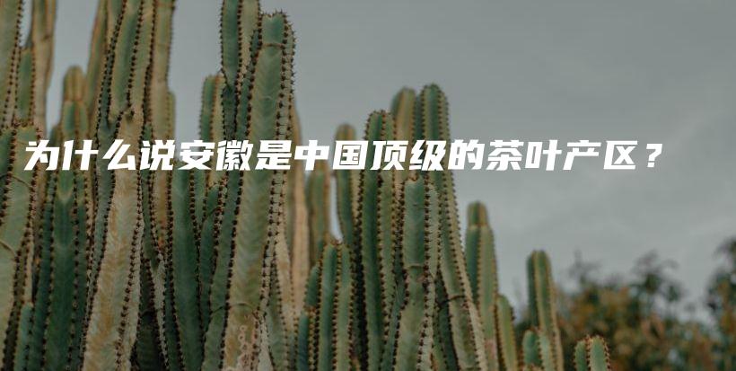 为什么说安徽是中国顶级的茶叶产区？插图