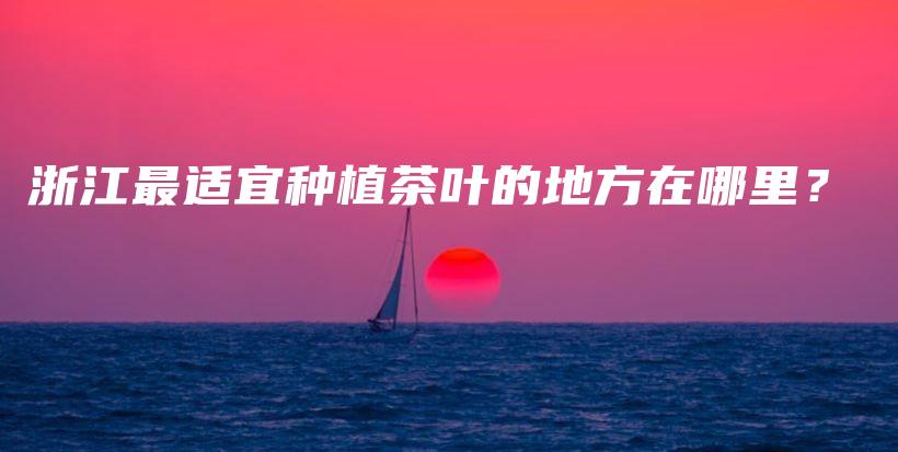 浙江最适宜种植茶叶的地方在哪里？插图