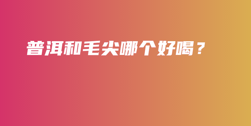 普洱和毛尖哪个好喝？插图