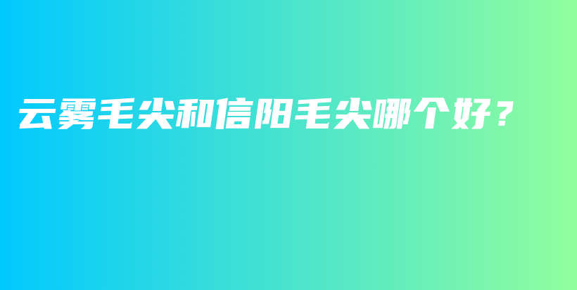 云雾毛尖和信阳毛尖哪个好？插图