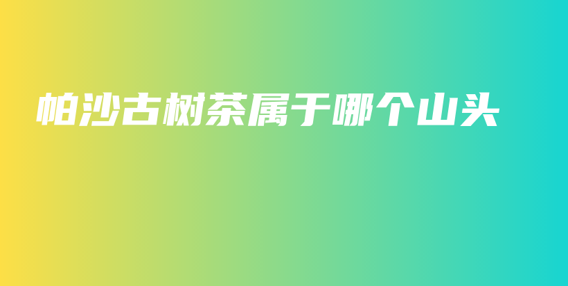 帕沙古树茶属于哪个山头插图