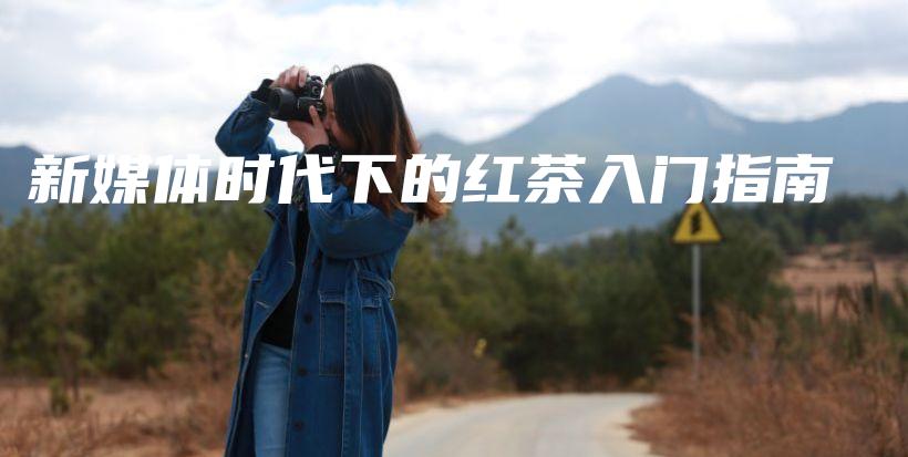 新媒体时代下的红茶入门指南插图