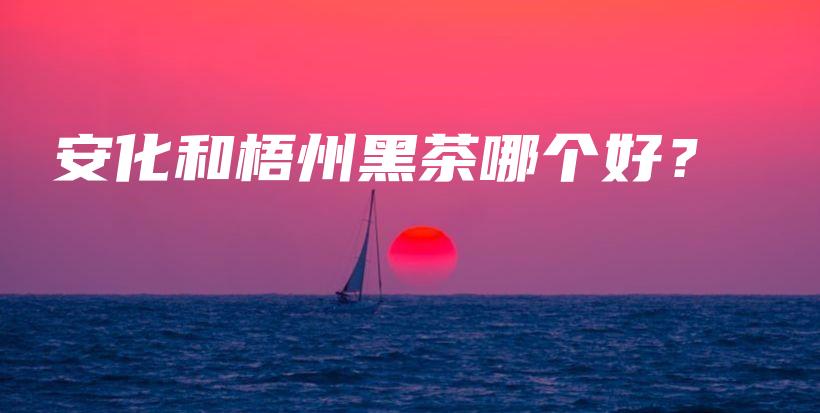 安化和梧州黑茶哪个好?插图 安化和梧州黑茶哪个好?插图