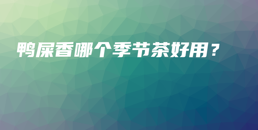鸭屎香哪个季节茶好用？插图