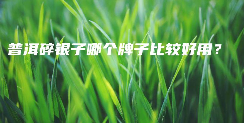 普洱碎银子哪个牌子比较好用？插图