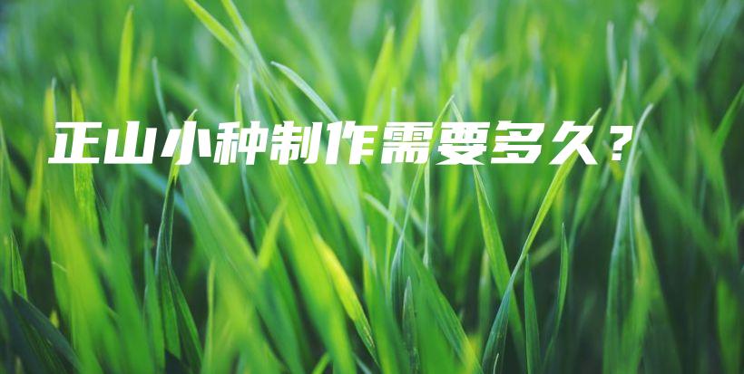 正山小种制作需要多久?插图 正山小种制作需要多久?插图