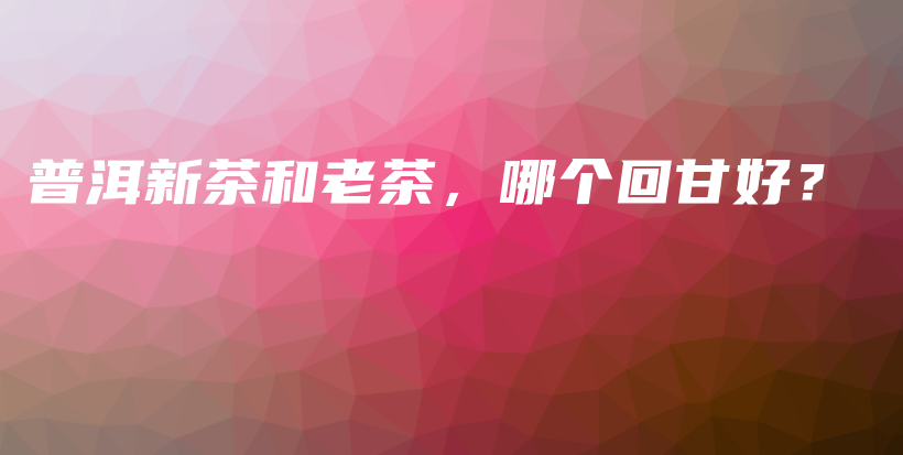 普洱新茶和老茶，哪个回甘好？插图