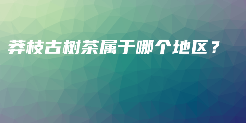 莽枝古树茶属于哪个地区？插图