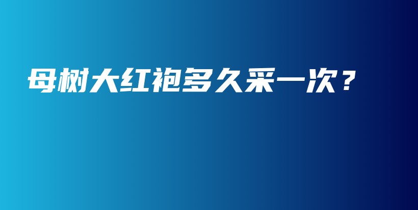 母树大红袍多久采一次?插图 母树大红袍多久采一次?插图