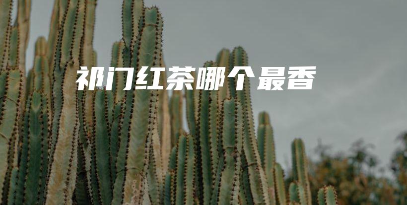 祁门红茶哪个最香插图