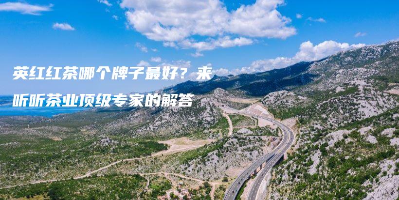 英红红茶哪个牌子最好？来听听茶业顶级专家的解答插图