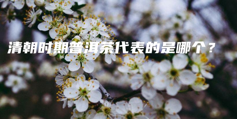 清朝时期普洱茶代表的是哪个？插图