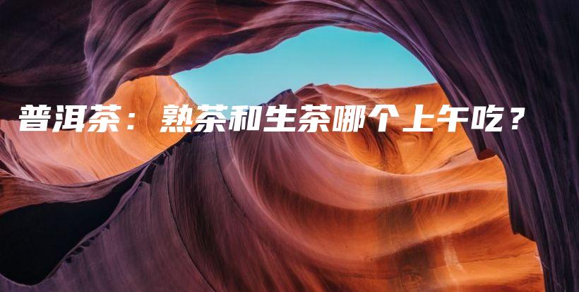 普洱茶：熟茶和生茶哪个上午吃？插图