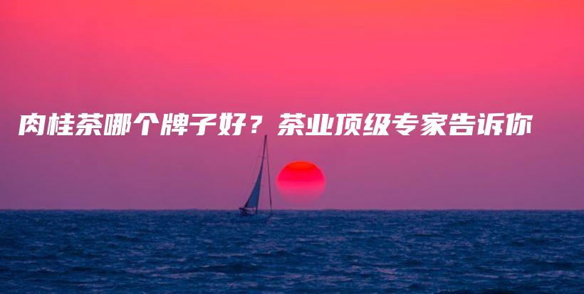 肉桂茶哪个牌子好？茶业顶级专家告诉你插图