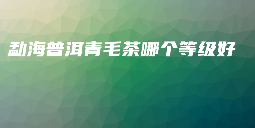 勐海普洱青毛茶哪个等级好插图 勐海普洱青毛茶哪个等级好插图