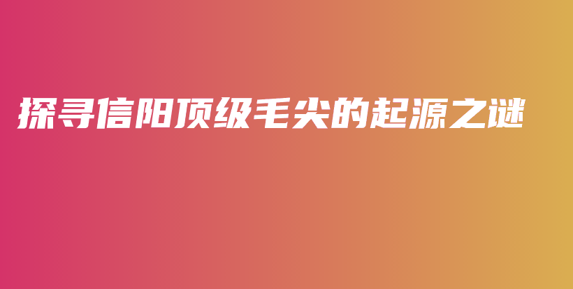 探寻信阳顶级毛尖的起源之谜插图