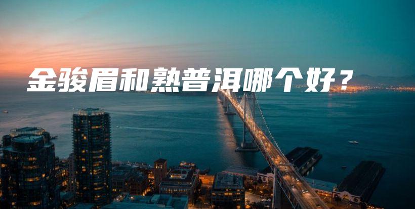 金骏眉和熟普洱哪个好？插图