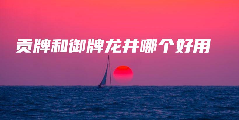 贡牌和御牌龙井哪个好用插图