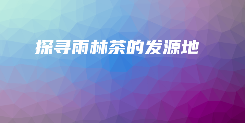 探寻雨林茶的发源地插图