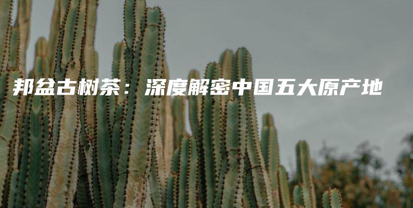 邦盆古树茶：深度解密中国五大原产地插图