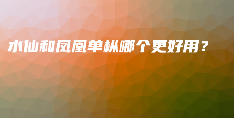 水仙和凤凰单枞哪个更好用？插图