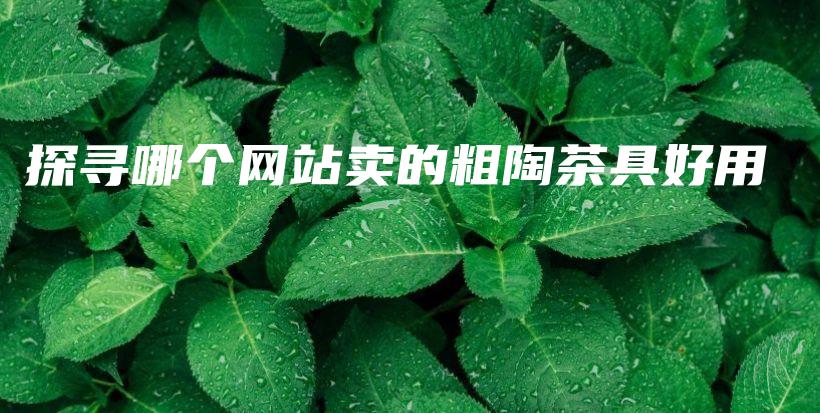 探寻哪个网站卖的粗陶茶具好用插图