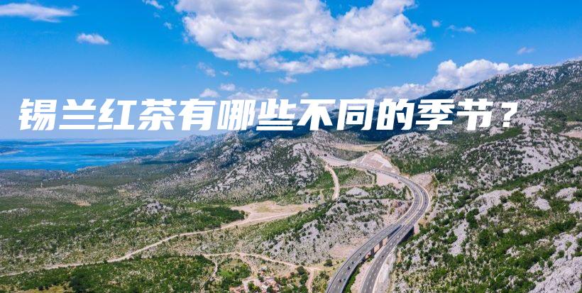 锡兰红茶有哪些不同的季节？插图