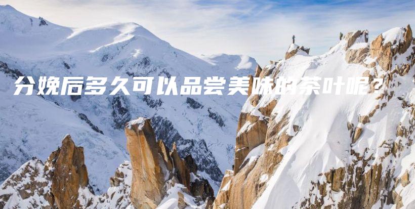 分娩后多久可以品尝美味的茶叶呢？插图