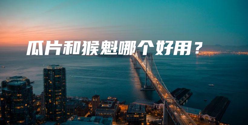 瓜片和猴魁哪个好用？插图