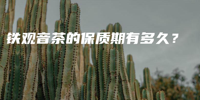 铁观音茶的保质期有多久？插图