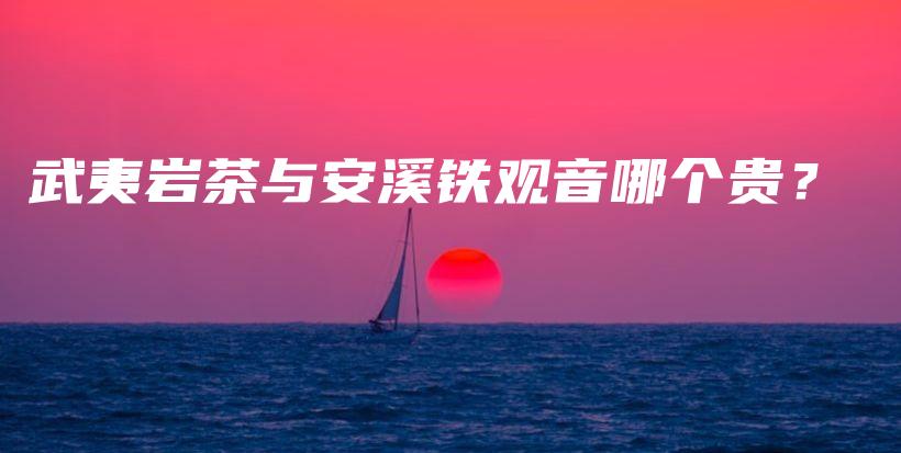 武夷岩茶与安溪铁观音哪个贵？插图