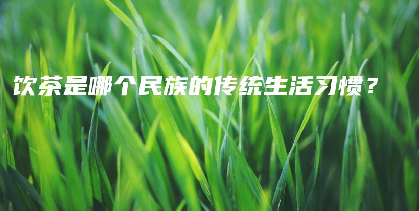 饮茶是哪个民族的传统生活习惯？插图