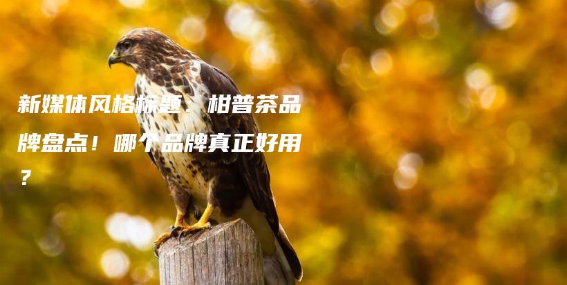 新媒体风格标题：柑普茶品牌盘点！哪个品牌真正好用？插图