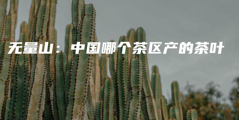 无量山：中国哪个茶区产的茶叶插图