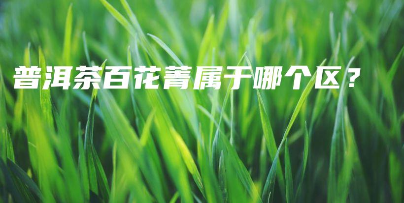 普洱茶百花菁属于哪个区？插图