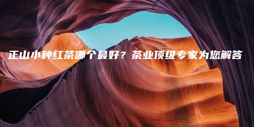 正山小种红茶哪个最好?茶业顶级专家为您解答插图 正山小种红茶哪个最好?茶业顶级专家为您解答插图