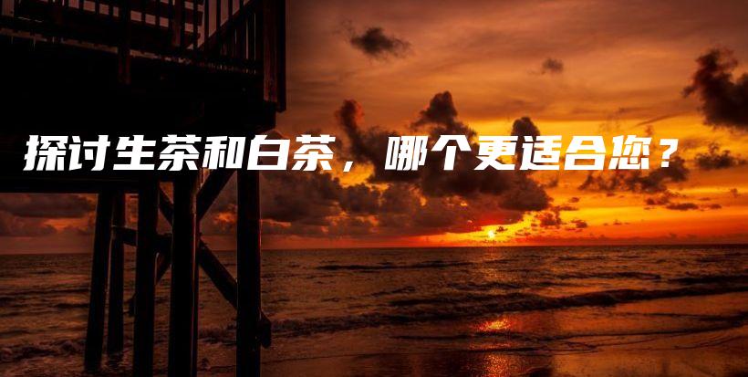 探讨生茶和白茶，哪个更适合您？插图