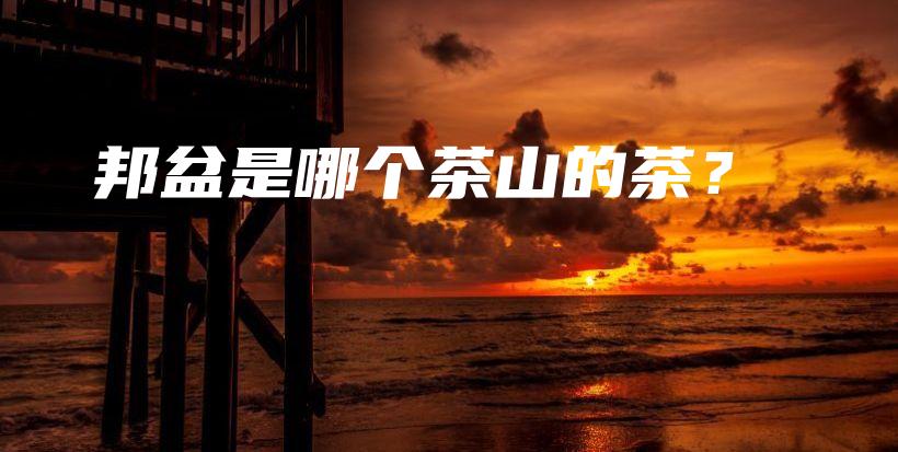 邦盆是哪个茶山的茶？插图