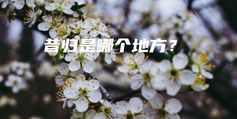 昔归是哪个地方？插图